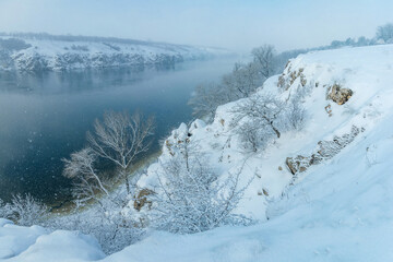 Snow-covered winter trees on the river bank.