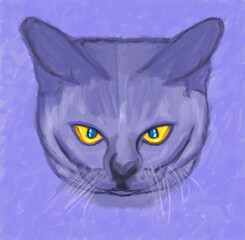 cat with yellow eyes artwork illustration design