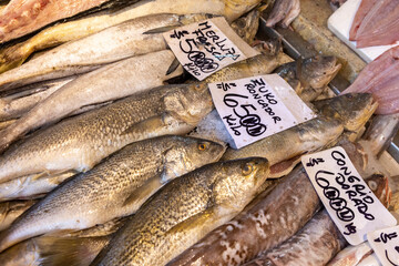 Fresh fish at the Central Market (Mercado Central) in Santiago de Chile