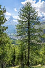 Matterhorn peak, Zermatt,  Switzerland