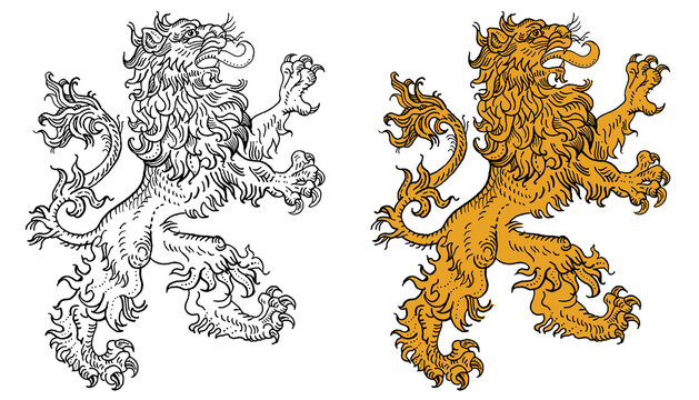 Heraldic lion standing rampaging on its hind legs. Medieval engraving woodcut style vector illustration. Coat of arms, history, fantasy, mythology, astrology, tattoo, logo design. Ink pen drawing.