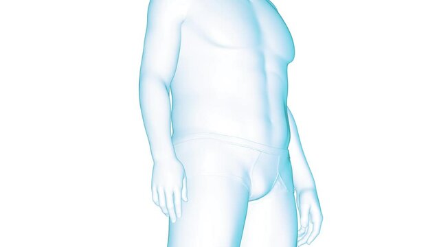 3d rendered medical animation of an overweight man's fitness transformation