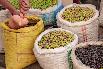 Harvested Olives