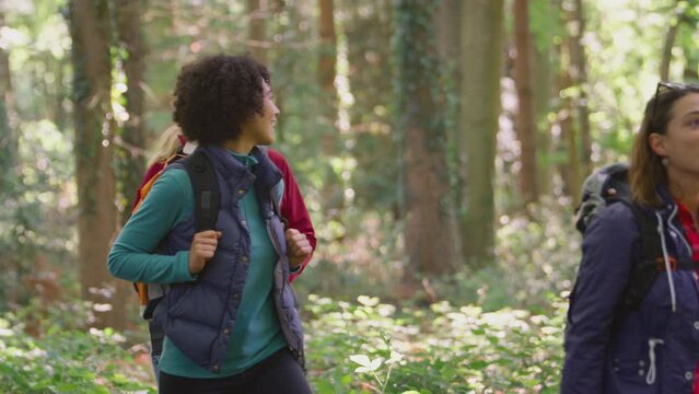 Group of female friends on holiday hiking through woods and enjoying being in nature - shot in slow motion
