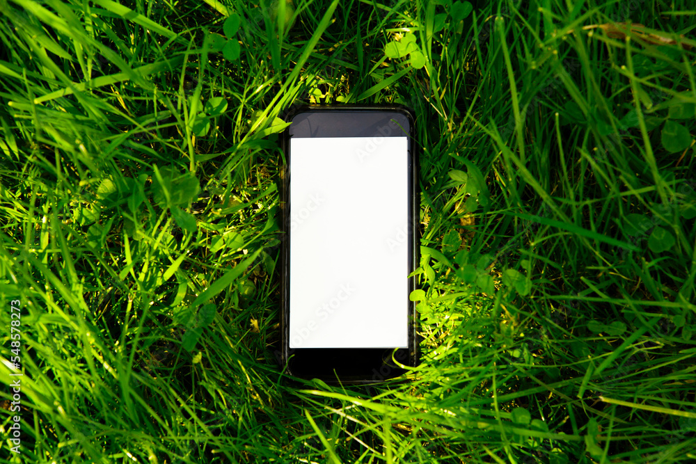 Wall mural mock up of a mobile phone with a empty space for text on the screen (touchscreen), on high grass, in