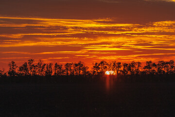Obraz premium sunset view, nature sun and forest at sunset. the sky and clouds are orange. summer sky and air. background