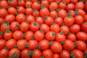 background image: scattered red ripe cherry tomatoes with green sepals