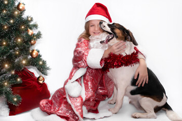 a cute child in a New Year's hat hugs a kind dog near the New Year's tree. New Year's bag with gifts lies under the Christmas tree.