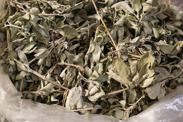 Sage Tea ( Ada Çayı)