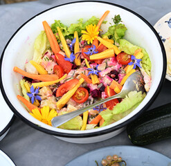Fresh picked vegetables for the vegetable salad.
