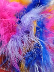 Plumas coloridas para o carnaval 