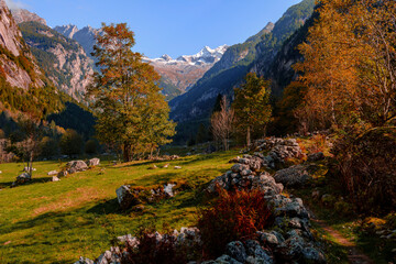 Fototapeta na wymiar A clear autumn morning in Mello's and Masino's Valley, Lombardy northern Italy Alps