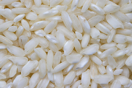 Arroz cateto