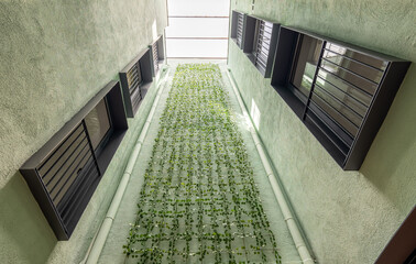 Lookup view of modern residential building with vertical gardening in Barcelona. Asymmetrically...