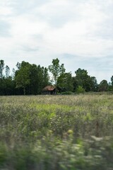 Vertical of a field with a house and trees in the distance.