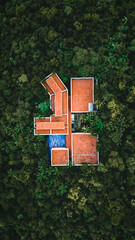 Instituto Inhotim Arte Brasileira Contemporânea Engenharia Paisagismo Jardinagem Sítio Natureza Lago Paisagem Brumadinho Belo Horizonte Minas Gerais Turismo Turístico Viagem Viajar Palmeiras Árvores