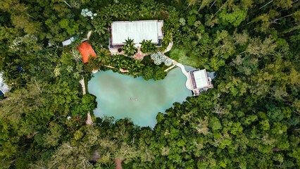 Instituto Inhotim Arte Brasileira Contemporânea Engenharia Paisagismo Jardinagem Sítio Natureza...