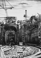 OLYMPUS DIGITAL CAMERA © Rafa