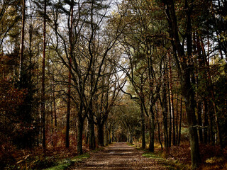 Fototapeta premium OLYMPUS DIGITAL CAMERA