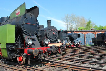 old steam locomotives standing in the locomotive depot