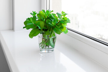 Fresh green mint in a glass on kitchen white window sill.