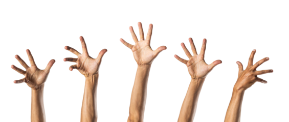 group of hands rising. isolated on transparent background