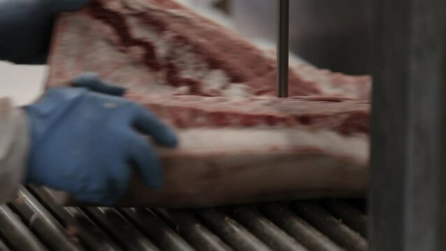 Portioning of meat in a slaughterhouse. Professional cutting of meat. Industrial plant. Occuptaion.