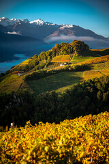 sunset in the mountains