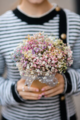 Close-up view of colorful gypsophila flowers in pot in female hands.