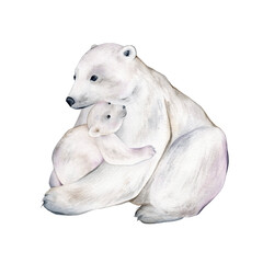 Obraz premium Polar bear. Watercolor illustration isolated on white background. Sketch animal. Cute wild bear. Picture. Image