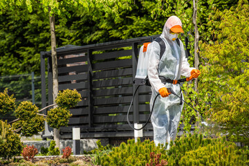 Professional Gardener Safely Spraying Pesticides on Garden Plants