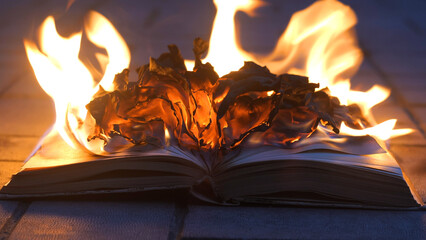 An open book is on fire