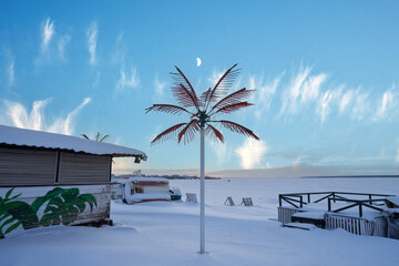 A snow-covered beach of a frozen pond under a bright blue frosty sky. On the shore, under the snow,...
