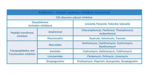 Table showing classification of 50S ribosome subuinit inhibitor antibiotcs with examples. Blue background and text.