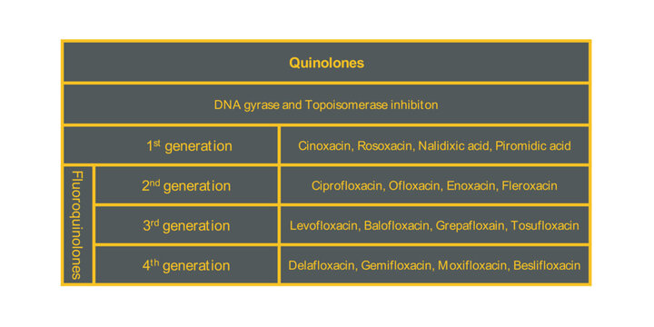 Table Showing Classification Of Quinolone Antibiotic With Examples. Dark Background Neon Orange Text.