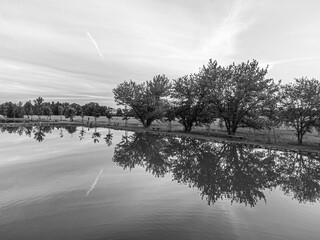 Landscape with lake and trees