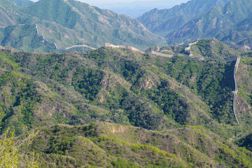 Fototapeta premium the protective wall goes like a snake over the hills. beautiful view of the mountains and the wall.