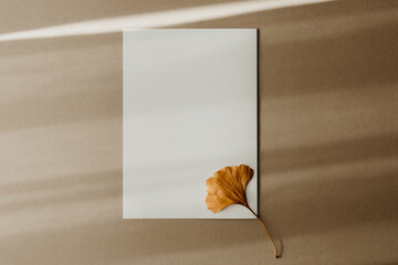 A white blank paper with a dried yellow Ginkgo Biloba leaf on beige background. Autumn card letter...