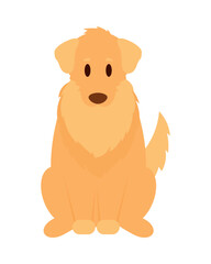 golden retriever icon