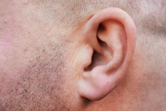 Human ear on male head close up side view. Health care or people communication concept.