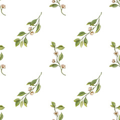 Seamless watercolor floral pattern - composition of flowering lemon branches. Perfect for wrappers, wallpapers, postcards, greeting cards, wedding invitations