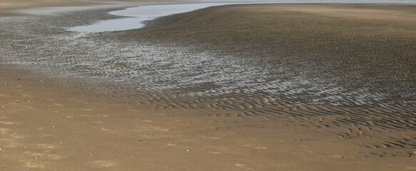 Fototapeta na wymiar Sandy beach at low tide