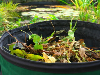 Close-up of a garden box filled with a pile of autumn leaves