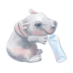 Little cute hippo with a bottle of milk. Watercolor illustration of an African animal.