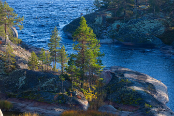 Ladoga skerries on the lake. A beautiful view of the rocky shores covered with pine trees. Nordic nature at sunset. Stunning view of islands and archipelago. National Park of Karelia