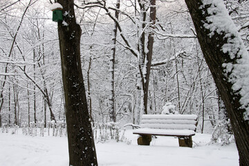 Bench covered in snow between two trees in the park on a winter morning