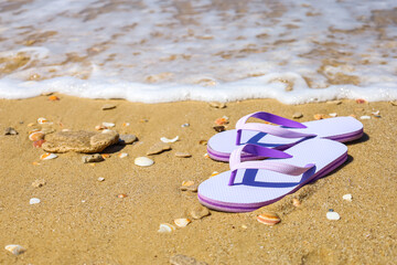 Fototapeta na wymiar Lilac flip flops with seashells on sand, closeup