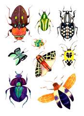 Watercolor set with various bugs. Colorful insects on a light background.