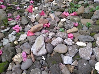 stones on the soil 