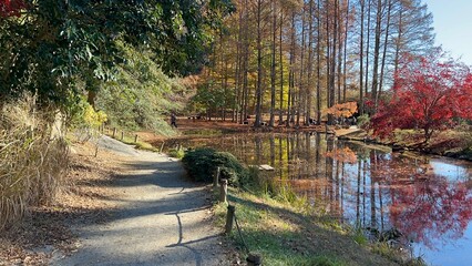 May mount Japanese nature park trail